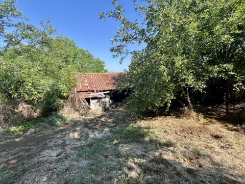 EXCLUSIVE! Solid-built house with a large yard and agricultural outbuildings for sale in the village of Dinevo, Haskovo region.