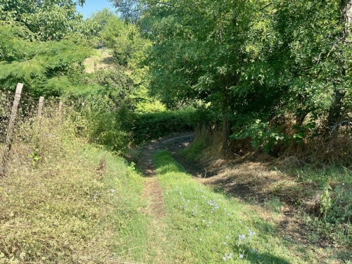 EXCLUSIVE! Solid-built house with a large yard and agricultural outbuildings for sale in the village of Dinevo, Haskovo region.