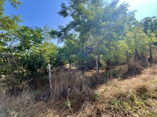 EXCLUSIVE! Solid-built house with a large yard and agricultural outbuildings for sale in the village of Dinevo, Haskovo region.
