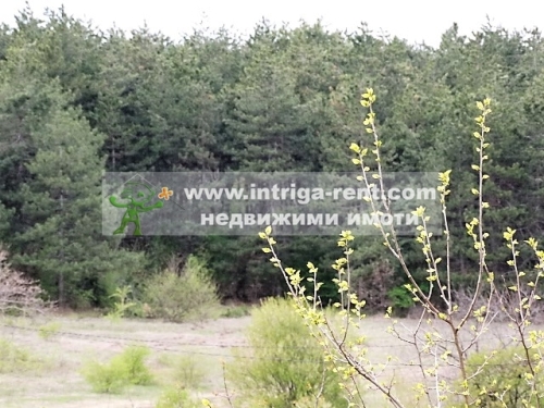 A land parcel located adjacent to the regulatory boundaries of the city of Haskovo, situated in the Kuba neighborhood and bordering the Kenana neighborhood, Haskovo.