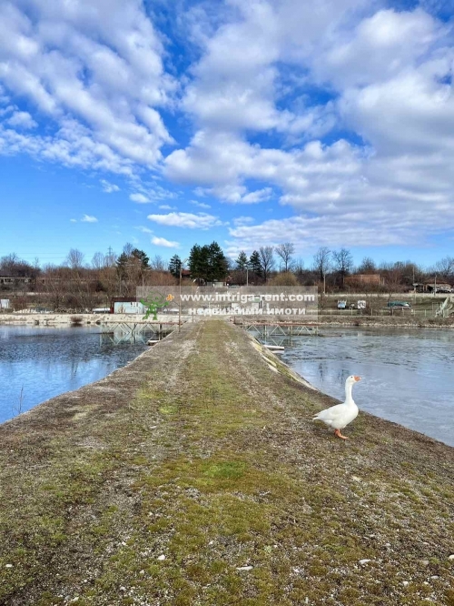 EXCLUSIVE FOR SALE!!! Operational fishpond, located in the village of Trakiets, Haskovo Municipality, Haskovo Province.