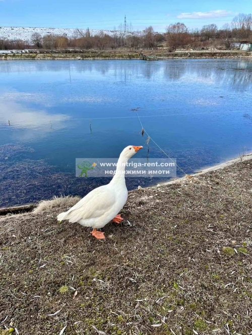 EXCLUSIVE FOR SALE!!! Operational fishpond, located in the village of Trakiets, Haskovo Municipality, Haskovo Province.