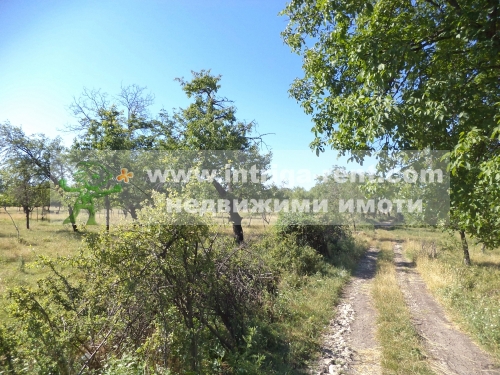 Land property in the Kamenets area, Haskovo.
