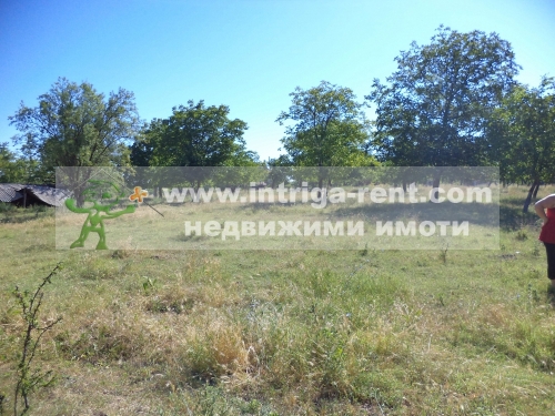 Land property in the Kamenets area, Haskovo.